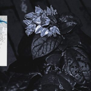 Gian Cruz ‘(séro)TROPICAL(e) n°3’, 2018 2020, 366x244cm digital print on fine art matte rag paper AP. Image courtesy of Gian Cruz Studio.