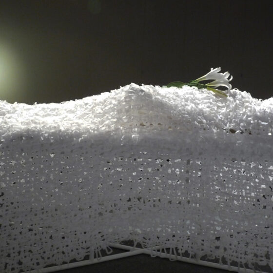 06-Calvin-Pang-_The-Tender-Departure-2011-Real-scale-conceptual-model-of-a-coffin.-Image-from-the-artists-website