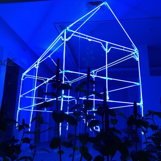 06-Vuth-Lyno-_Sala-Samnak-2020-21-Neon-light-installation-225-x-300-x-200-cm.-Image-from-the-artists-website