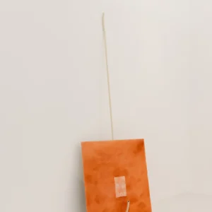 3a94ceb8-48dd-4b36-ae57-37f836a254ef_1600_2398