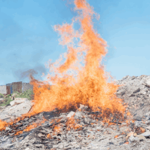 Alvin Lau feature photo