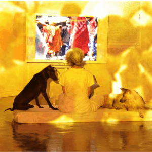 Araya Rasdjarmrearnsook AWDB artist profile thumbnail