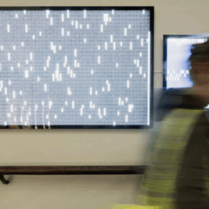 Boedi-Widjaja-Nanyang-(2019)-Jawa-(2019)-Root-Word-(2021)-three-backlit-Duratran-prints-displayed-on-LED-lightboxes.-Image-fron-Fact-