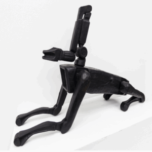 Gary Ross Pastrana feauture photos