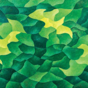 Hernando Rui Ocamp feature photo