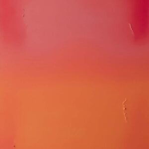Jamie-Teo-Untitled-Cadmium-Red-Coral-Pink-Yellow-Lake-2018-oil-on-canvas-110-x-150cm-Image-from-the-artists-website