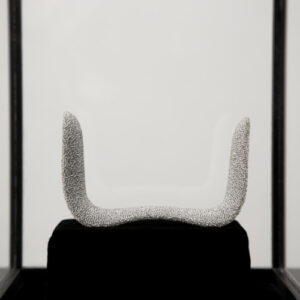 Nguyen Thi Thanh Mai AWDB artist profile feature image