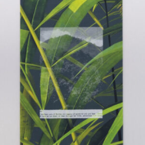 Priyageetha Dia AWDB profile featured image