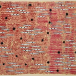 Tran Luong From the Underwater World series 1997 watercolour on poonah paper 64 x 83.5cm Image from Ocula