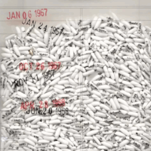 Trong Gia Nguyen feature photo