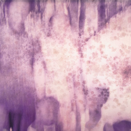 Wei Leng Tay AWDB profile featured image