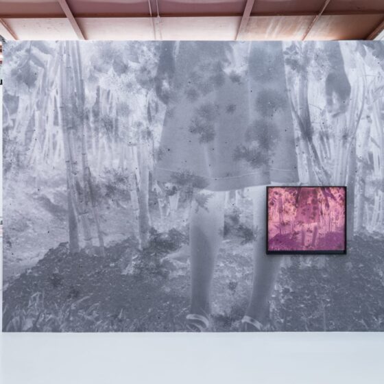 Wei Leng Tay, 'Untitled (Sister)', 2022, archival pigment print mounted on metal composite, painted wood, non-reflective glass, vinyl, dimensions variable. Image from Yeo Workshop